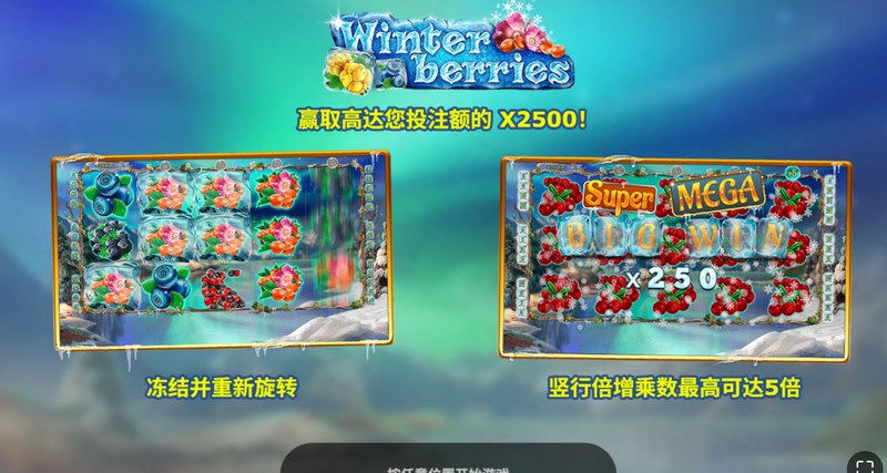 冬莓